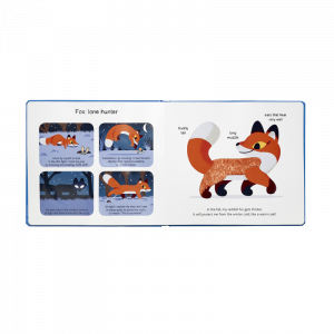 Az állatok éjszakai élete - Tapintható könyv