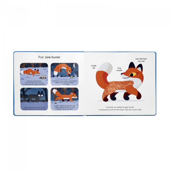 Az állatok éjszakai élete - Tapintható könyv